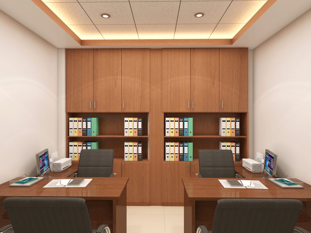 Director room design